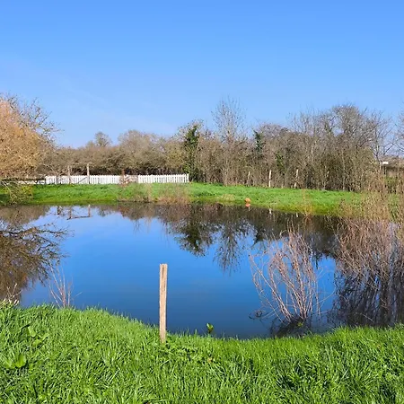 別荘 L'Escale Bleue Piscine Chauffee Baby Foot Parking Gratuit Saint-Sigismond (Vendee)