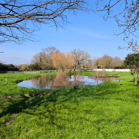 L'Escale Bleue Piscine Chauffee Baby Foot Parking Gratuit 別荘 Saint-Sigismond (Vendee)